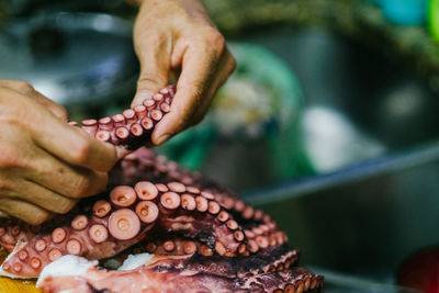 Close-up of human hands holding dead octopus