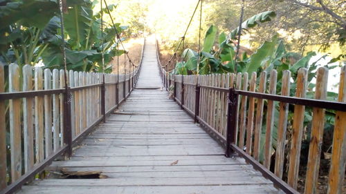 Boardwalk amidst trees