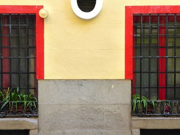 Potted plant on wall of building