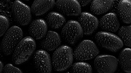 Full frame shot of cake