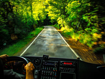 Road passing through trees