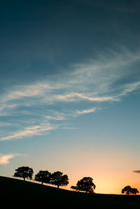 Low angle view of silhouette trees against sky during sunset