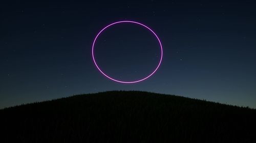 Low angle view of illuminated plant against sky at night