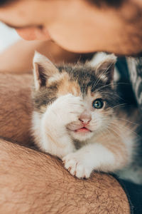 Close-up of cat with eyes closed