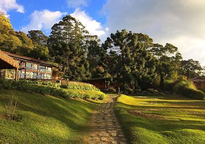 Scenic view of green landscape against sky