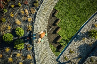 High angle view of man gardening
