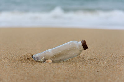 Close-up of shells in glass bottle at beach