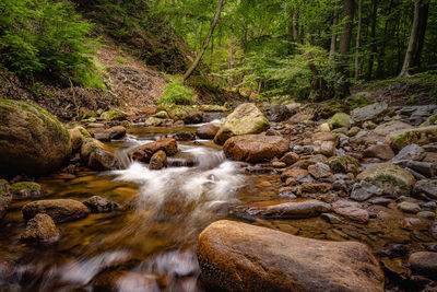 Stream flowing through rocks in forest