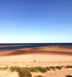 Scenic view of beach against blue sky