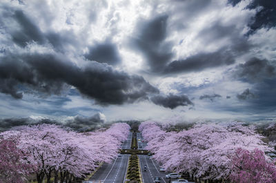 Panoramic view of road amidst trees against sky