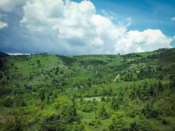 Scenic view of landscape against sky