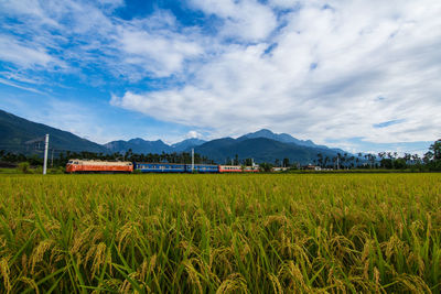 Distance shot of train along the fields