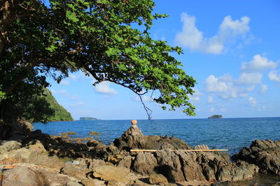 Scenic view of sea against sky