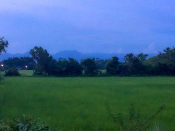 Scenic view of field against sky