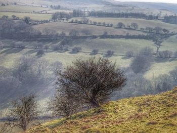 Scenic view of landscape