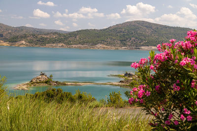 Scenic view at the gadoura water reservoir on rhodes island, greece with blue and turquoise water