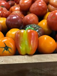 Close-up of tomatoes