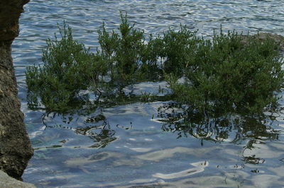 High angle view of a lake