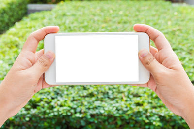 Cropped image of woman holding blank mobile phone against plants