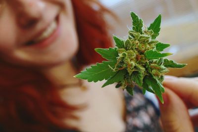 Midsection of young woman holding marijuana