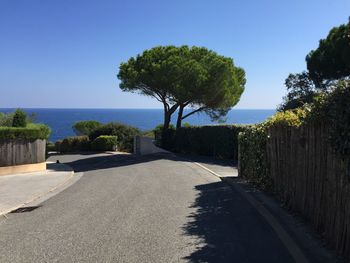 Road by trees against clear blue sky