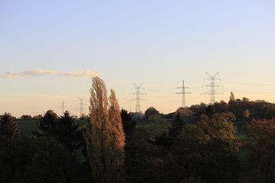 Plants and trees on field against sky