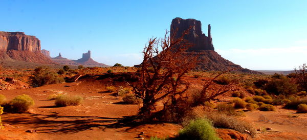 Rock formations in a desert