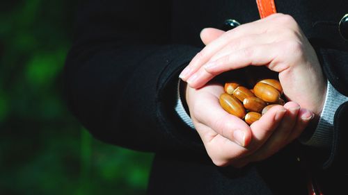 Close-up of hand holding fruit