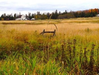 Grassy field against cloudy sky