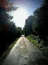 Road passing through forest