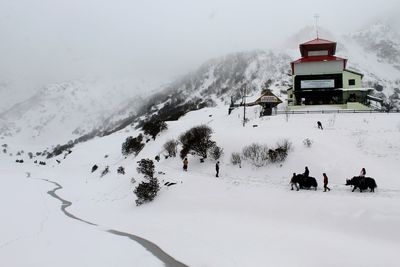 People on snow covered land