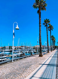 Palm trees by sea against clear blue sky