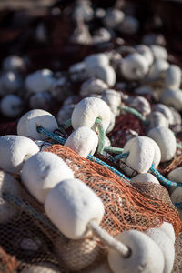 Close up of shells