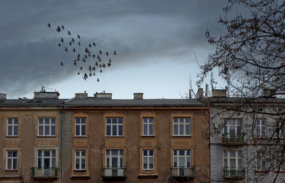 Low angle view of birds flying against building