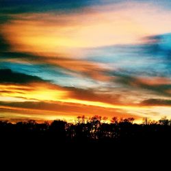 Silhouette trees against dramatic sky during sunset