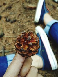 Close-up of hand holding ice cream
