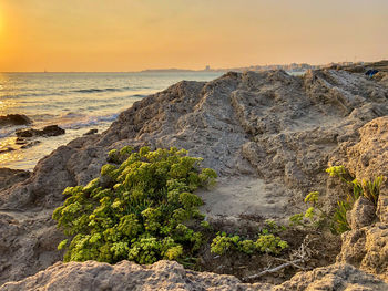 Scenic view of sea against sky during sunset