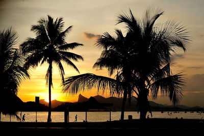 Silhouette palm trees by swimming pool against sky during sunset