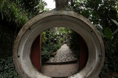 View of trees against sky