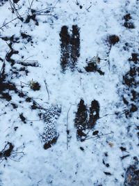 Full frame shot of snow covered tree