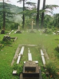 View of cemetery