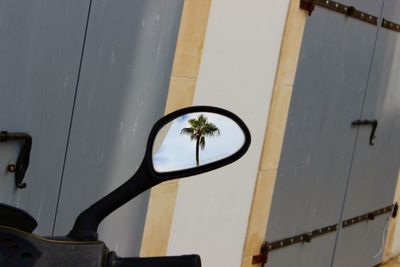 High angle view of palm trees seen through window