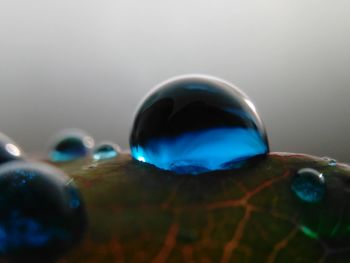 Close-up of bubbles