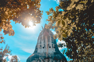 Rooster building with yellow trees and blue sky and sunshine