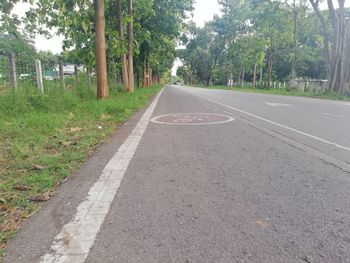 Empty road amidst trees in city