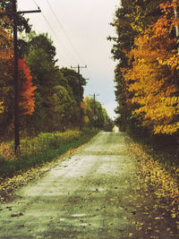 Road amidst trees against sky during autumn