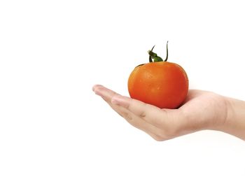 Close-up of hand holding apple against white background