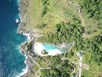 High angle view of trees on beach