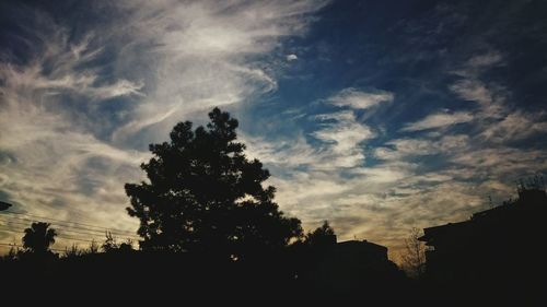 Silhouette of trees at sunset