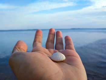 Close-up of hand holding shell over sea against sky